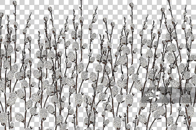 抽象银柳花，棕色背景图片素材