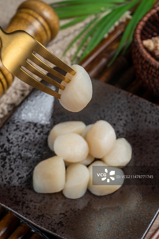 新鲜食材扇贝贝柱图片素材