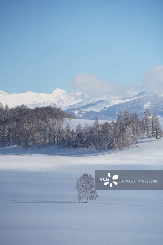 禾木村冬牧场图片素材