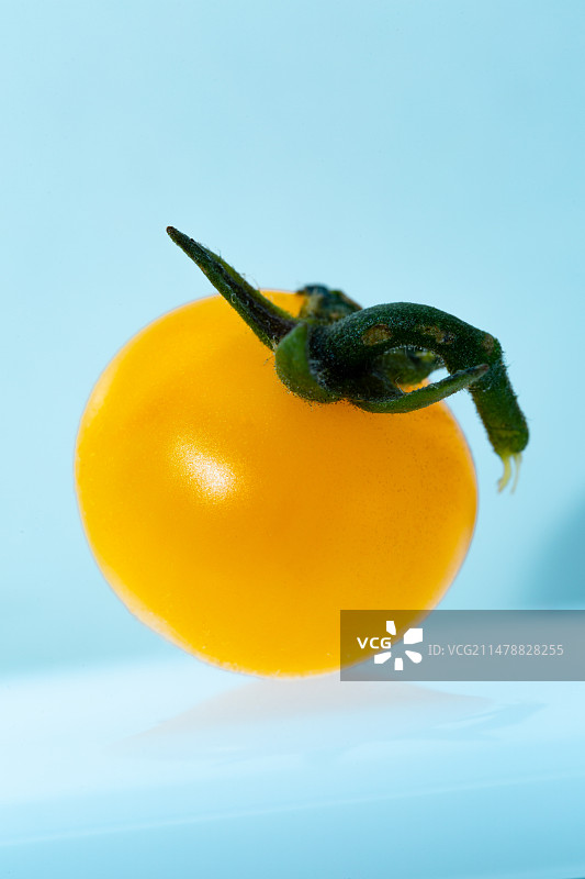 小黄番茄图片素材