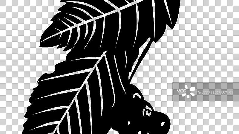 花楸树图片素材