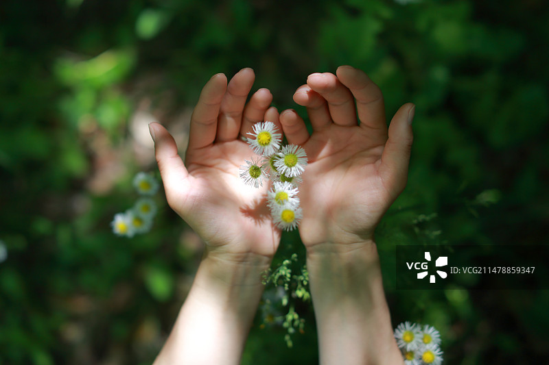女性的手与户外的植物图片素材
