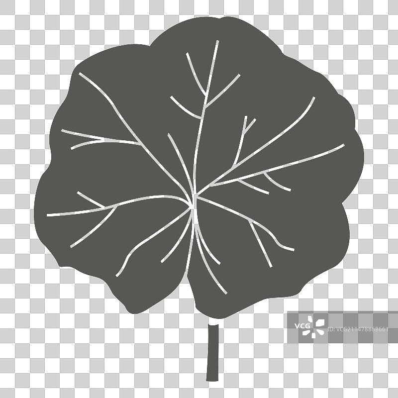 蔓绿绒线条笔触叶图片素材