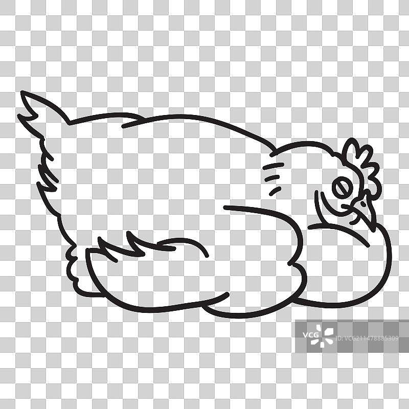 安静的睡鸡图片素材