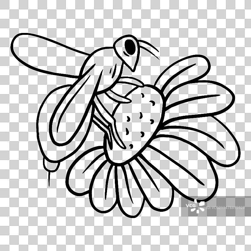 蜜蜂花朵图标笔画图片素材