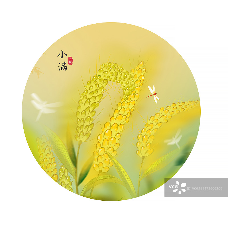 中国风二十四节气系列插画海报-小满 运动模糊背景  夏天风吹麦穗插画图片素材