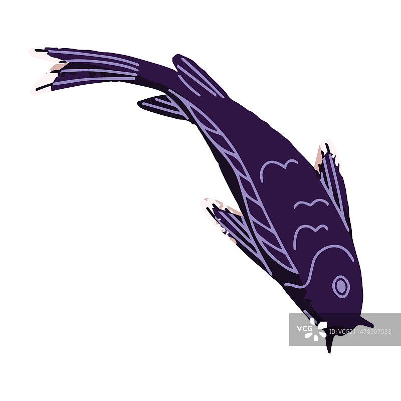 水中漂浮的锦鲤俯视图图片素材