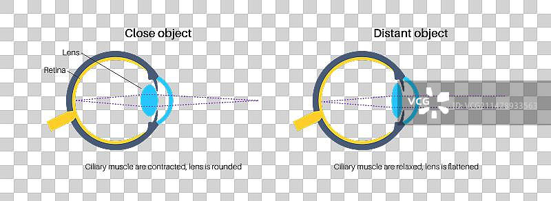 眼睛调节海报图片素材