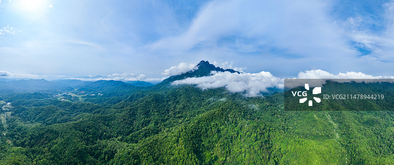 海南五指山热带雨林云海景观图片素材