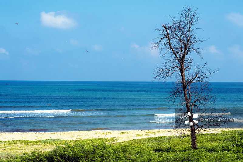 海边一景图片素材