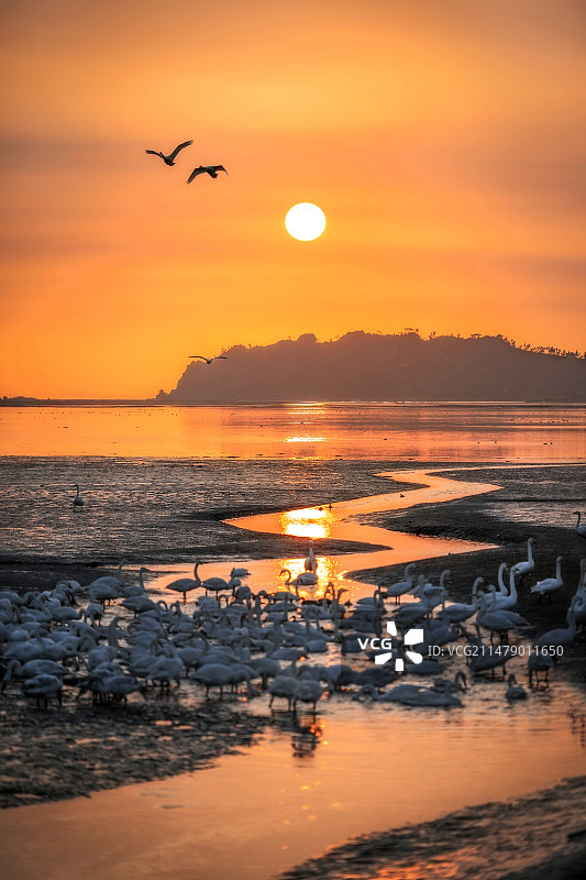 日落时的海景（荣城）图片素材