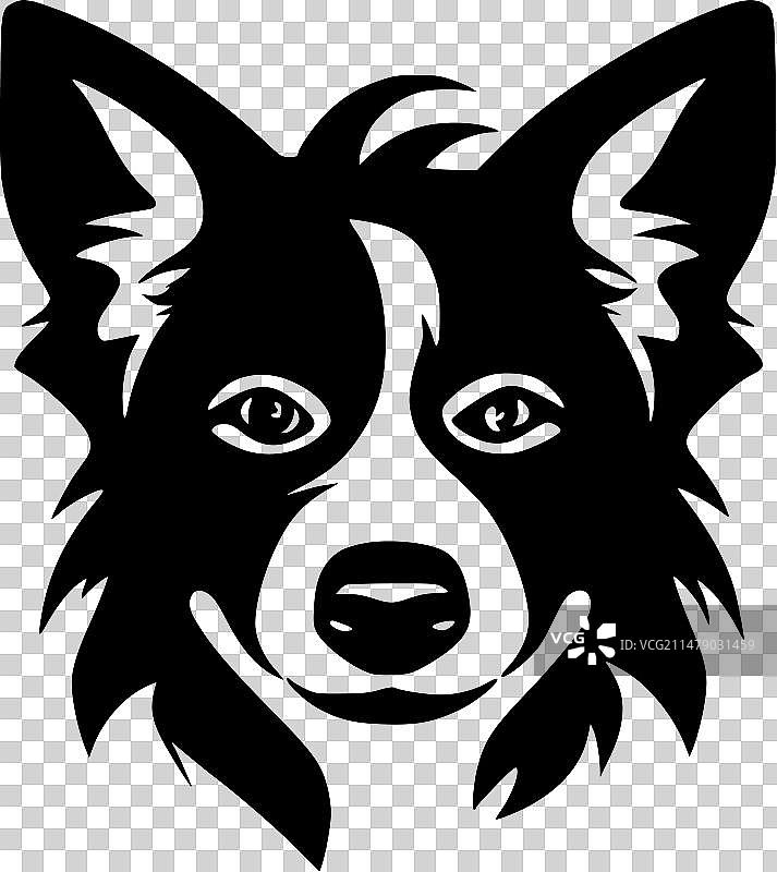 狗——黑白相间图片素材