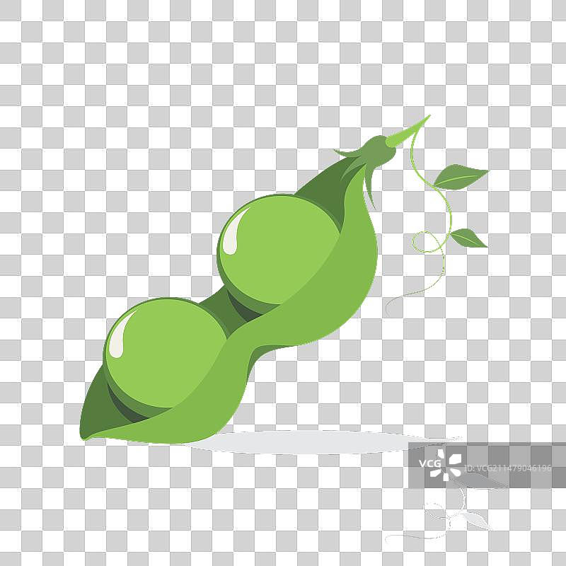 豆荚里的豌豆图片素材