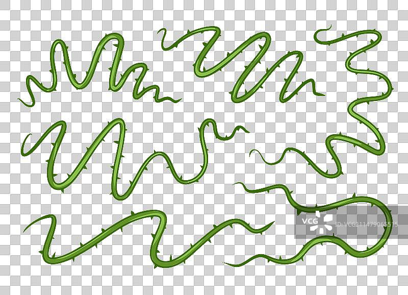 锋利的藤蔓造型图片素材