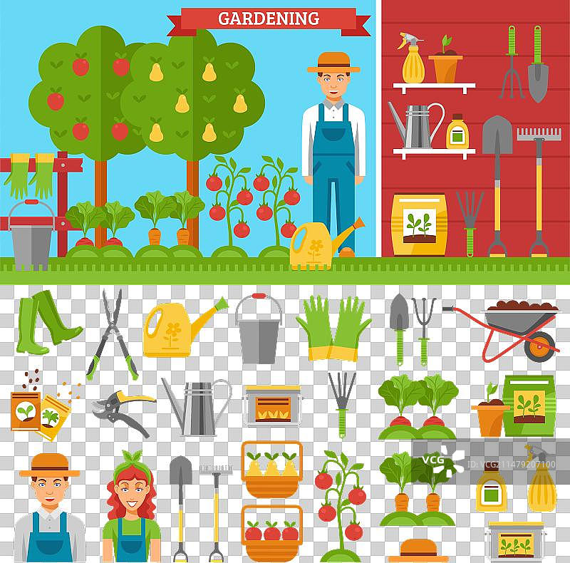 花园里的蔬菜和水果生长图片素材