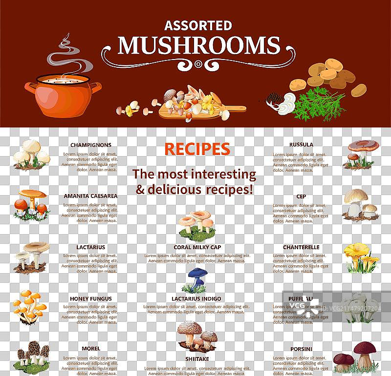 各种蘑菇信息图图片素材
