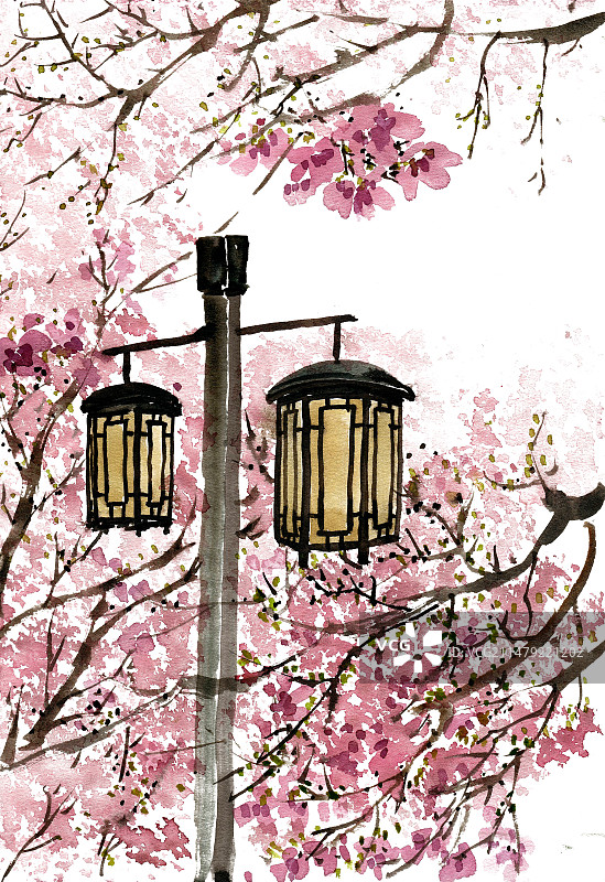 花海中的路灯图片素材