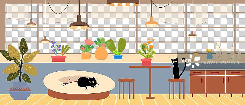 可爱的猫咪在家玩耍图片素材