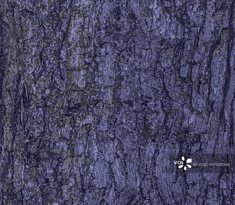 田野枫树的树皮纹理图片素材