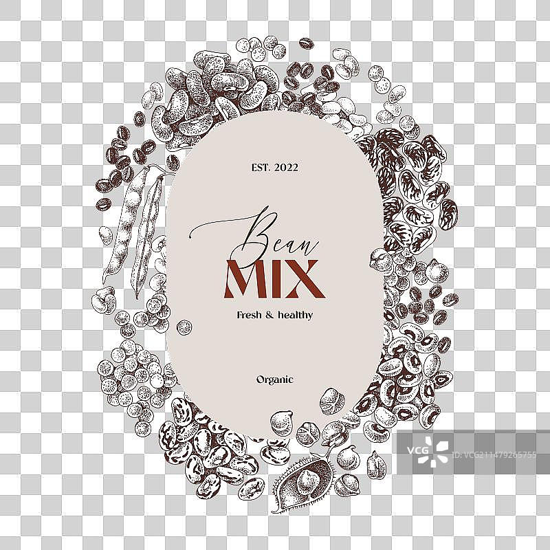 手绘豆类标签图片素材