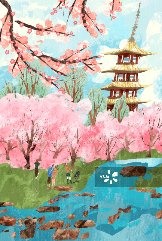 武汉东湖樱花插画GIF动图图片素材