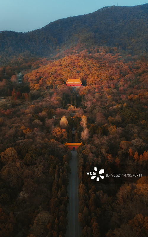 航拍中山陵图片素材