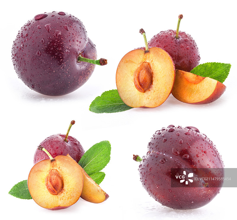 李子干小李子图片素材