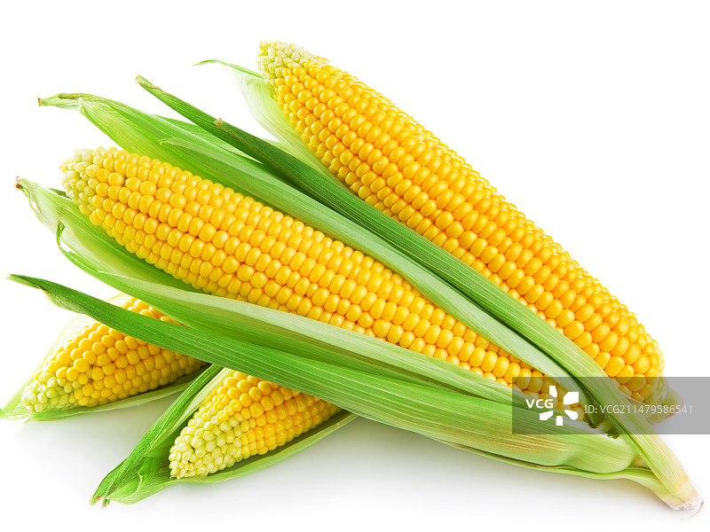 玉米食品玉米棒图片素材
