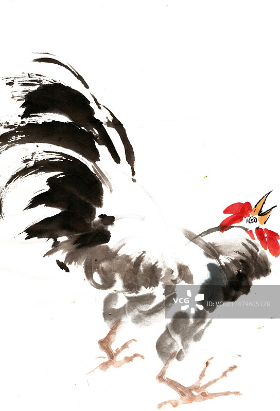 抬头的公鸡图片素材