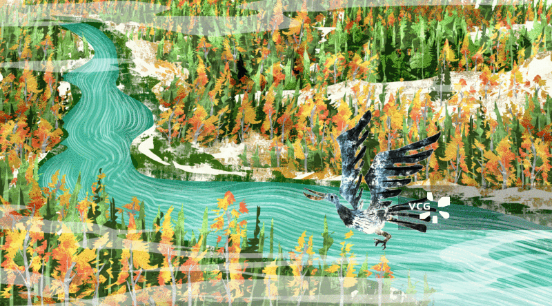 新疆喀纳斯湖插画GIF动图图片素材