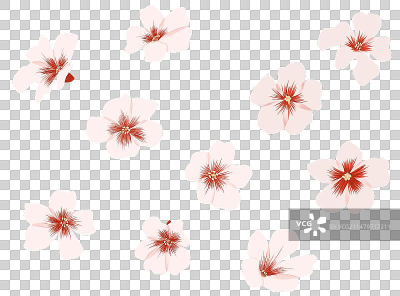 春季节气清明元素图片素材