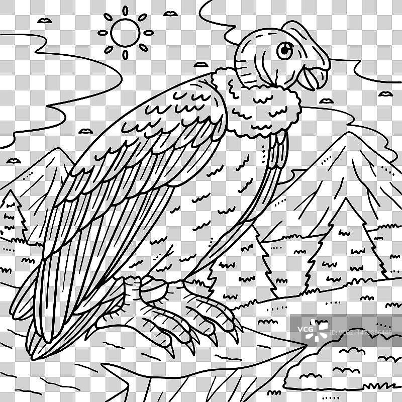 安第斯神鹫儿童涂色页图片素材