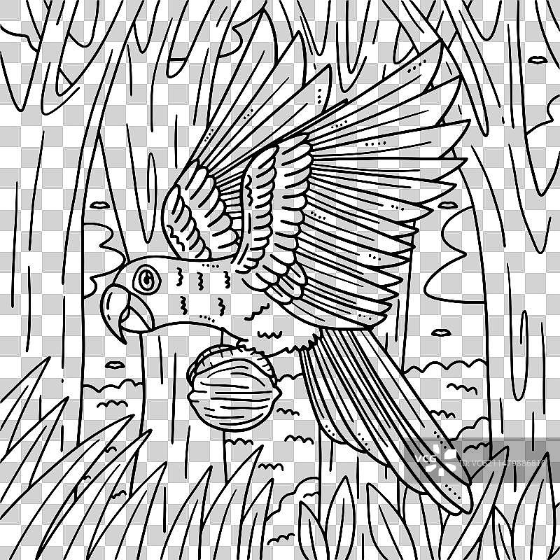 儿童用风信子金刚鹦鹉鸟填色页图片素材