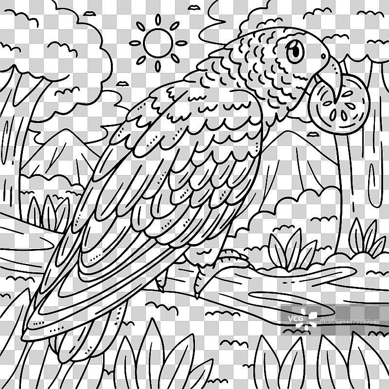 非洲灰鹦鹉儿童涂色页图片素材