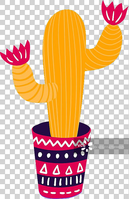 节日盛装的墨西哥仙人掌典型节日图片素材