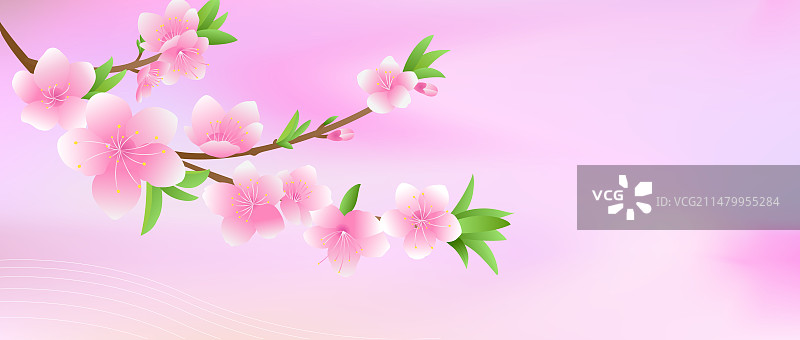 二十四节气之惊蛰桃花矢量插画横版图片素材