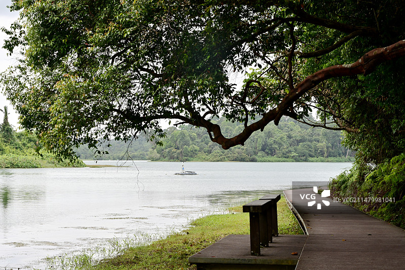新加坡麦里芝蓄水池风光图片素材