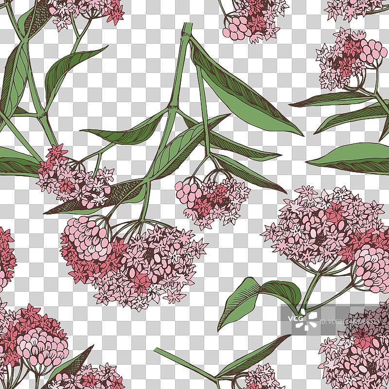 沼泽马利筋野花无缝暗色背景图片素材