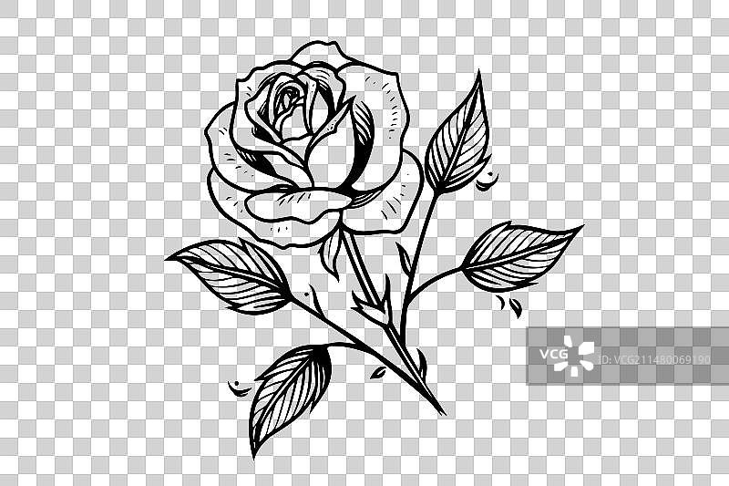 手绘墨水月季花雕刻风格图片素材