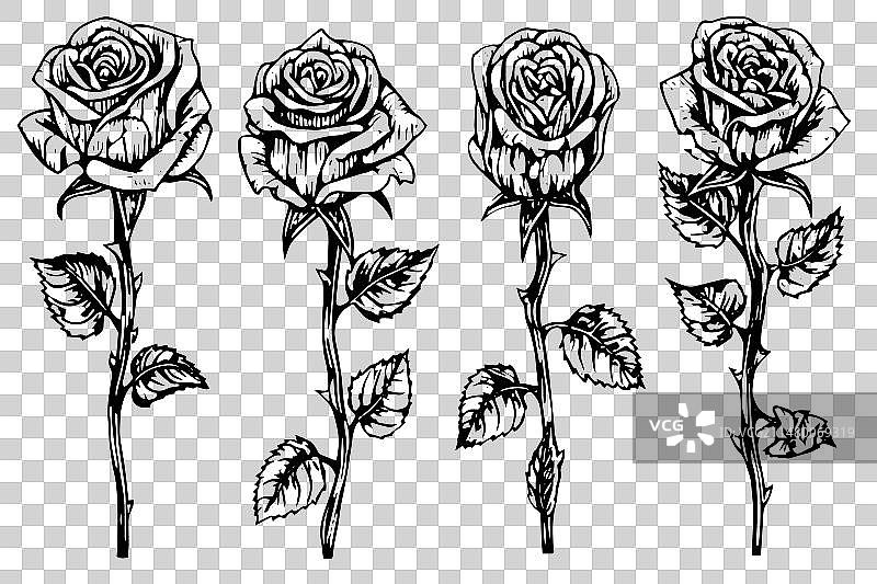 手绘玫瑰花墨水草图图片素材