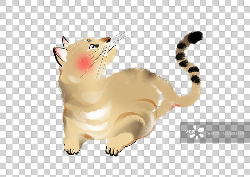 猫，水彩画设计元素图片素材