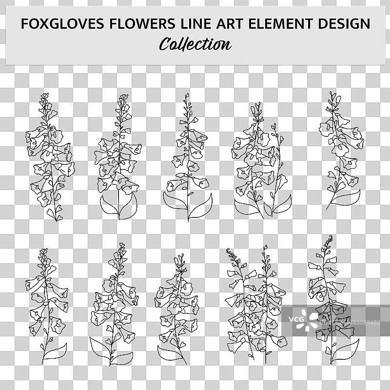 极简风毛地黄手绘花朵图片素材