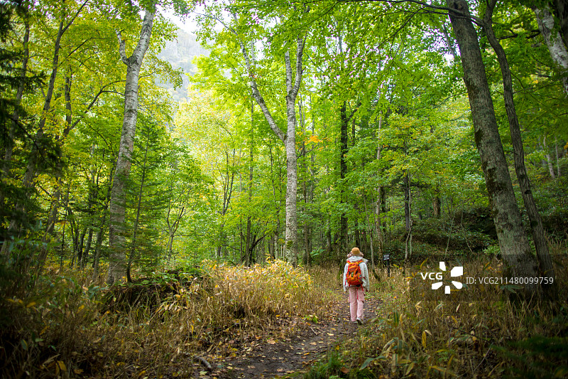 亚洲日本北海道大雪山层云峡步道图片素材