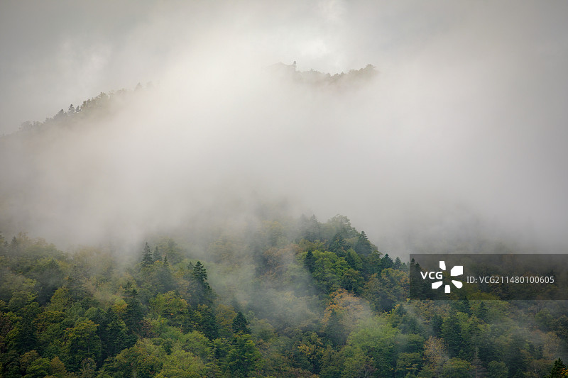 亚洲日本北海道札幌定山溪步道图片素材