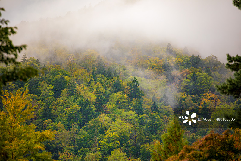亚洲日本北海道札幌定山溪步道图片素材