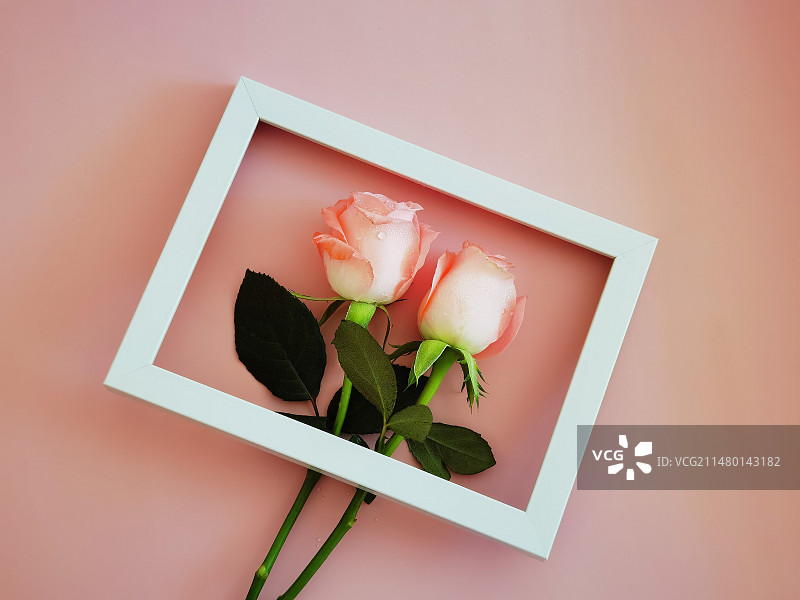 静物：情人节快乐（玫瑰花）图片素材