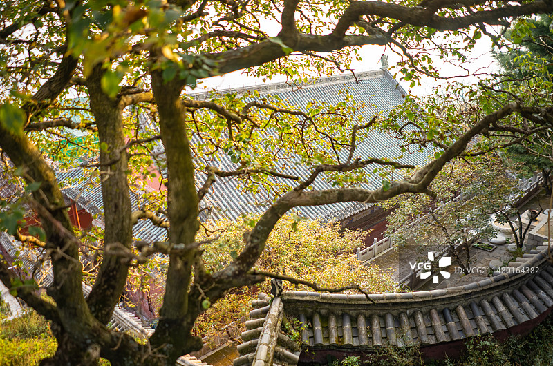 中国非都市风光拍摄主题，山东省泰安市国内著名景点泰山风景区，高视角俯拍碧霞祠寺庙宫殿脊图片素材