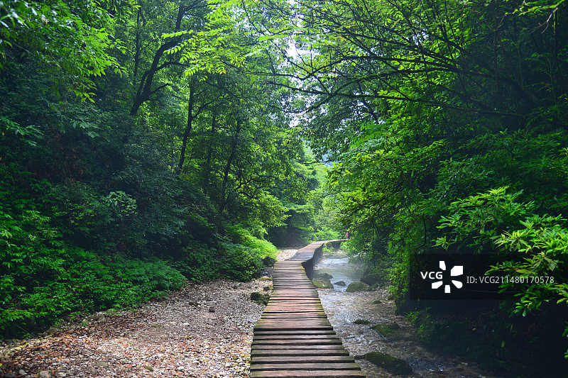 丛林中美丽的瀑布，四川青城山后山，飞泉沟图片素材