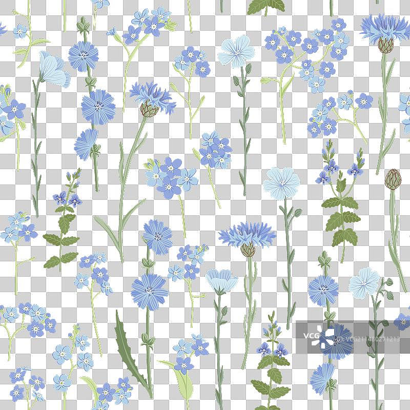 手绘野花无缝图案图片素材