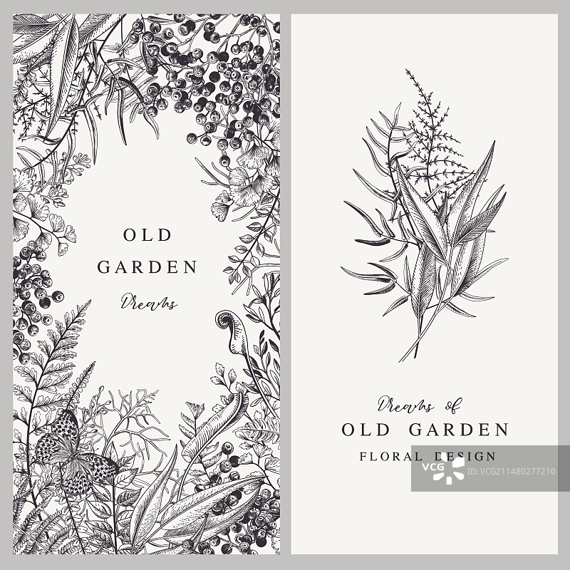 花卉边框邀请函套装图片素材